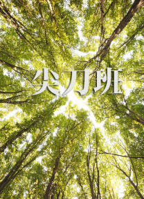 黑人中文字幕在线精品视频站