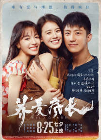 亚洲欧美综合视频